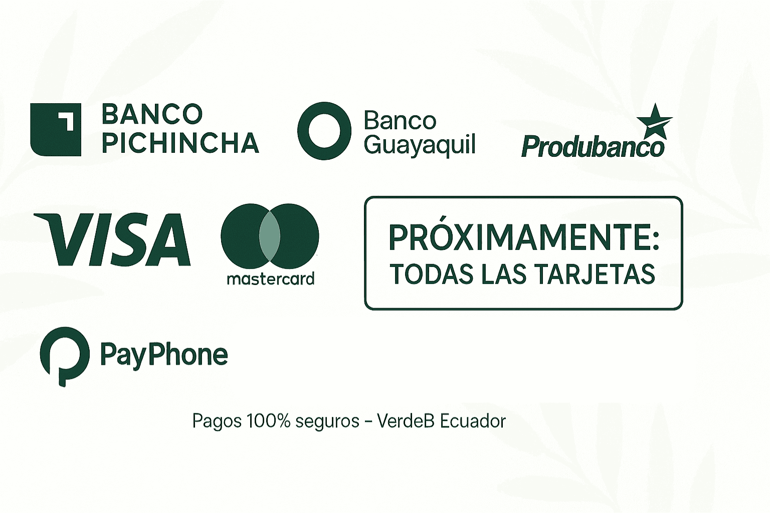 Métodos de pago aceptados en VerdeB Ecuador